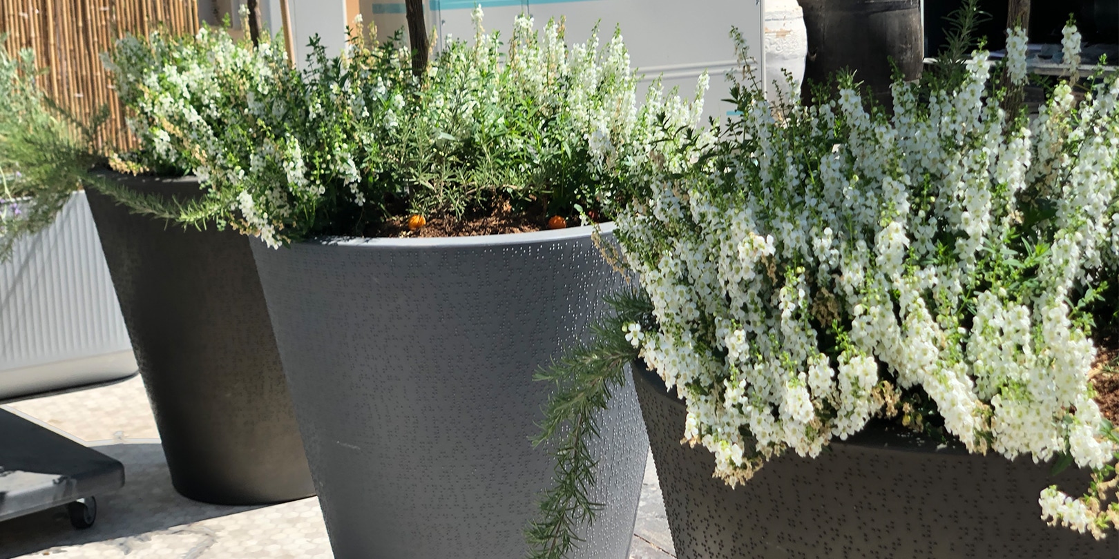 Lavender, Rosemary & Thyme  A Must for Every Garden - You Make It