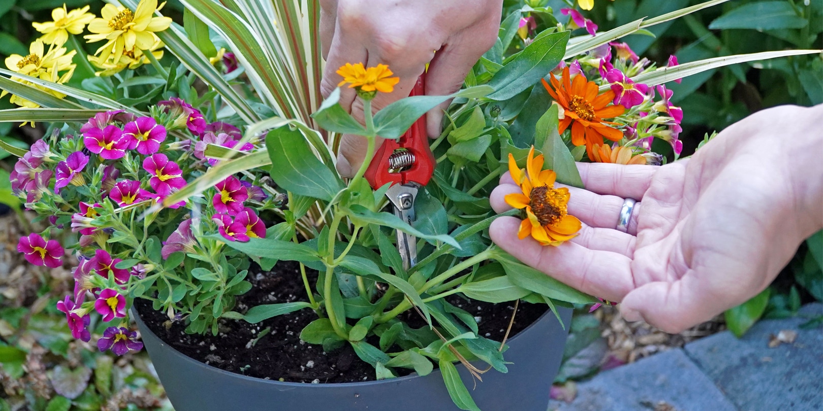 Summer Container Gardening Care and The Tools Needed to Get It Done