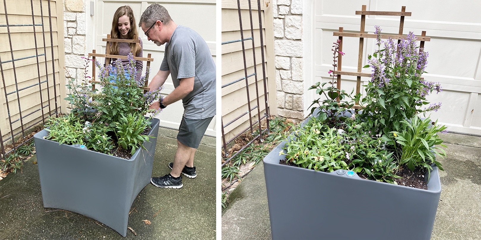 Five Steps to a Successful Family Container Garden