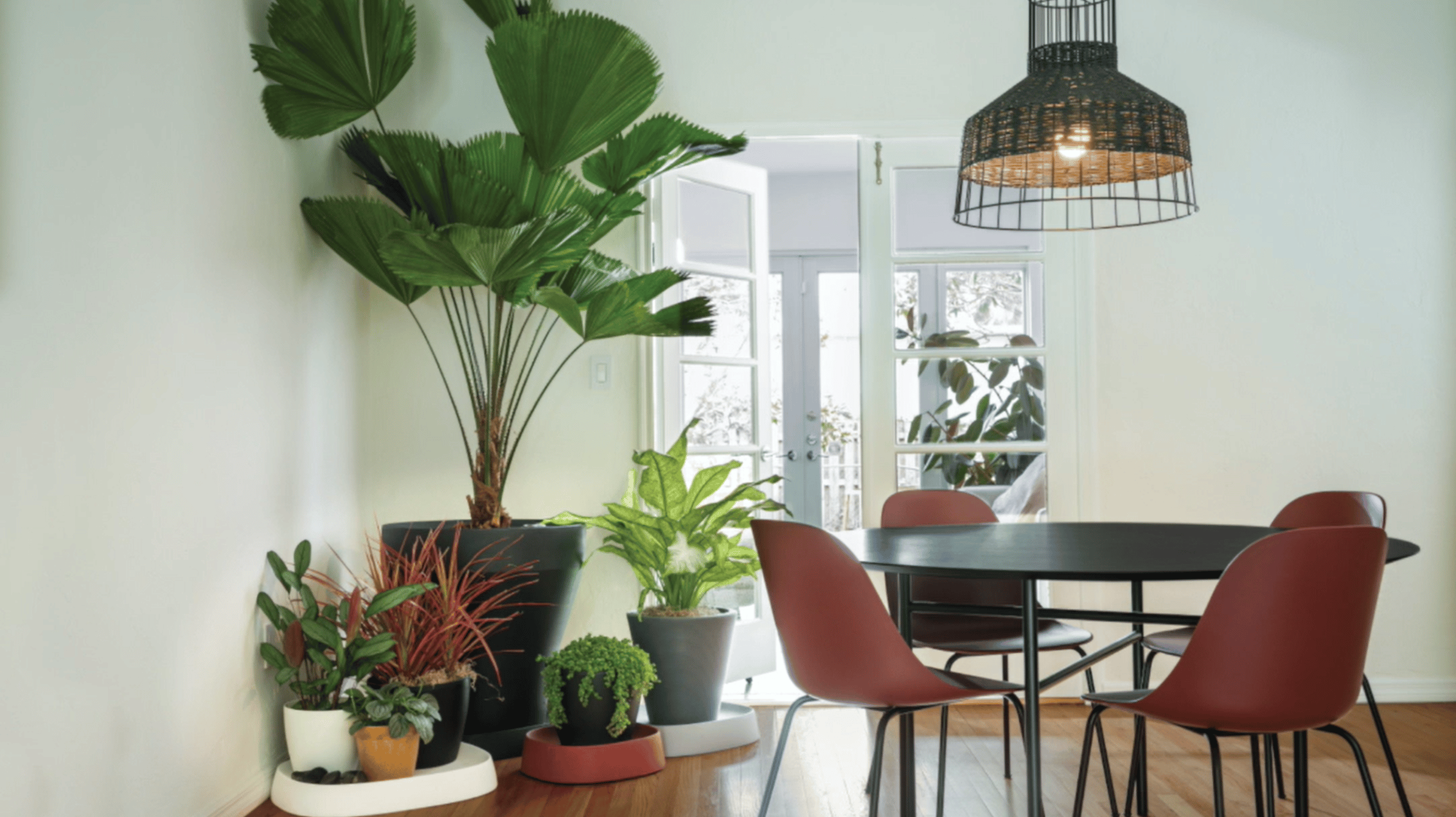 Create Your Own Indoor Oasis