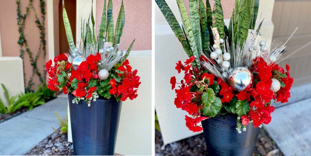 Holiday Container Gardening in pots Florida Glam Bleeker Planter