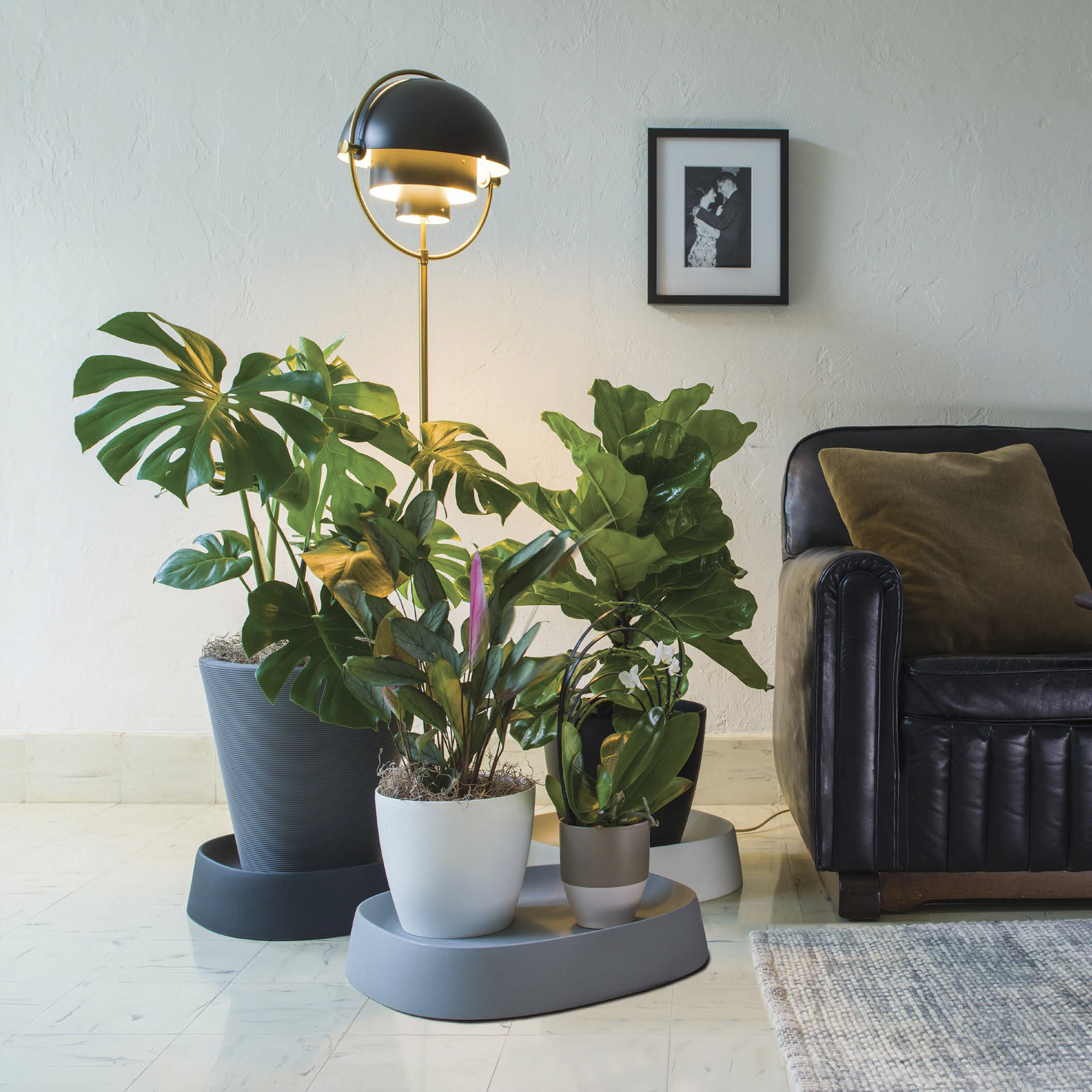 Pebble Plant Caddy Crescent Garden