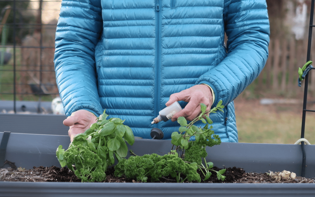 Fertilizer & Container Gardening | Crescent Garden