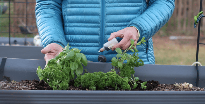 Fertilizer & Container Gardening