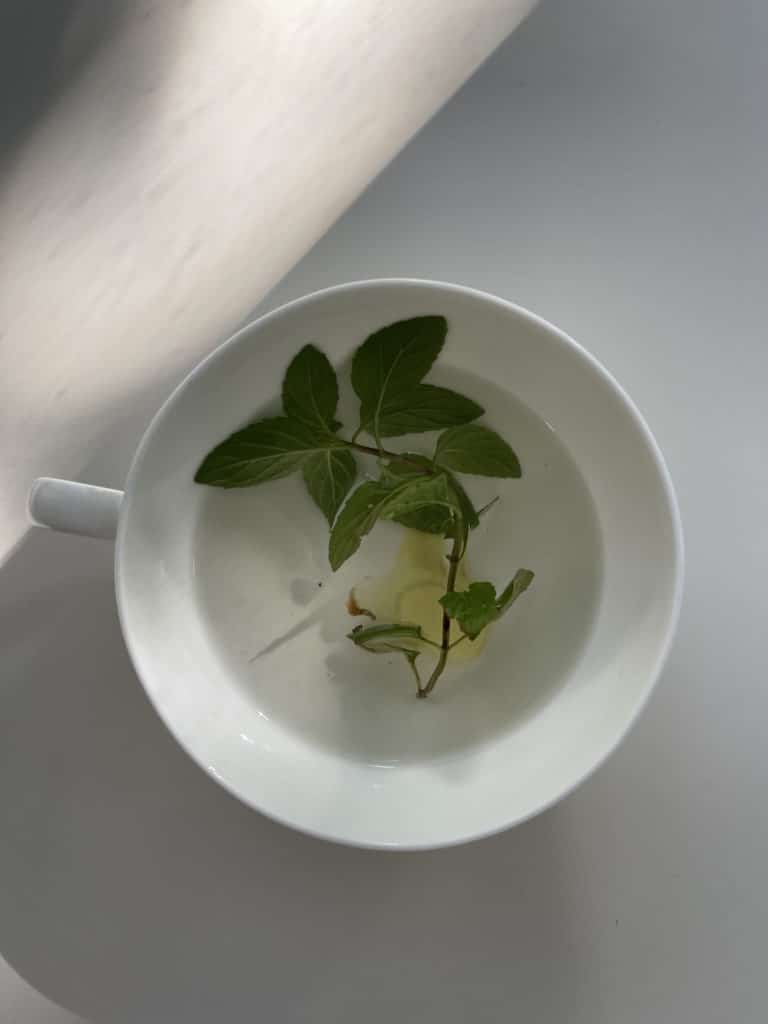 Cup with herbs ready to drink.