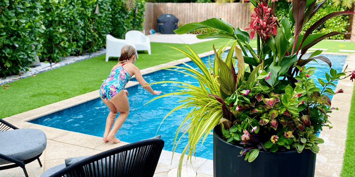 TruDrop Self-watering Tropical planter by the summer pool.