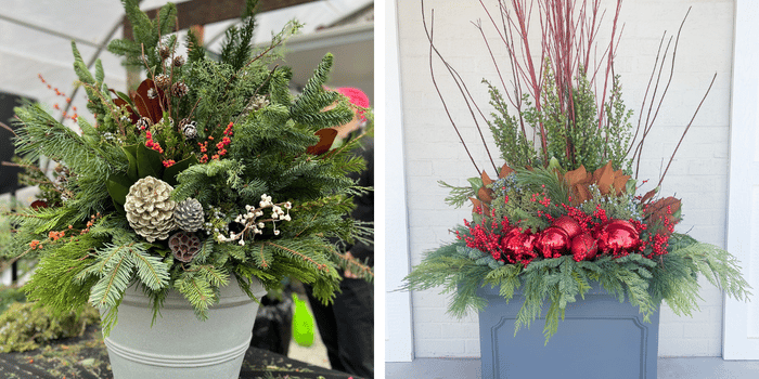 Holiday arrangement in Brunello and Estate planters.