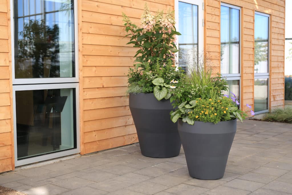 TruDrop Rim containers with healthy plants outdoors. 