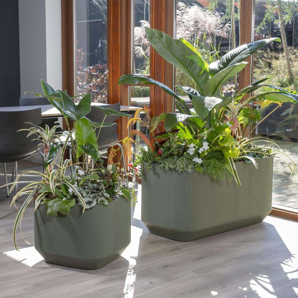 Mod TruDrop planters indoors by the windows. 