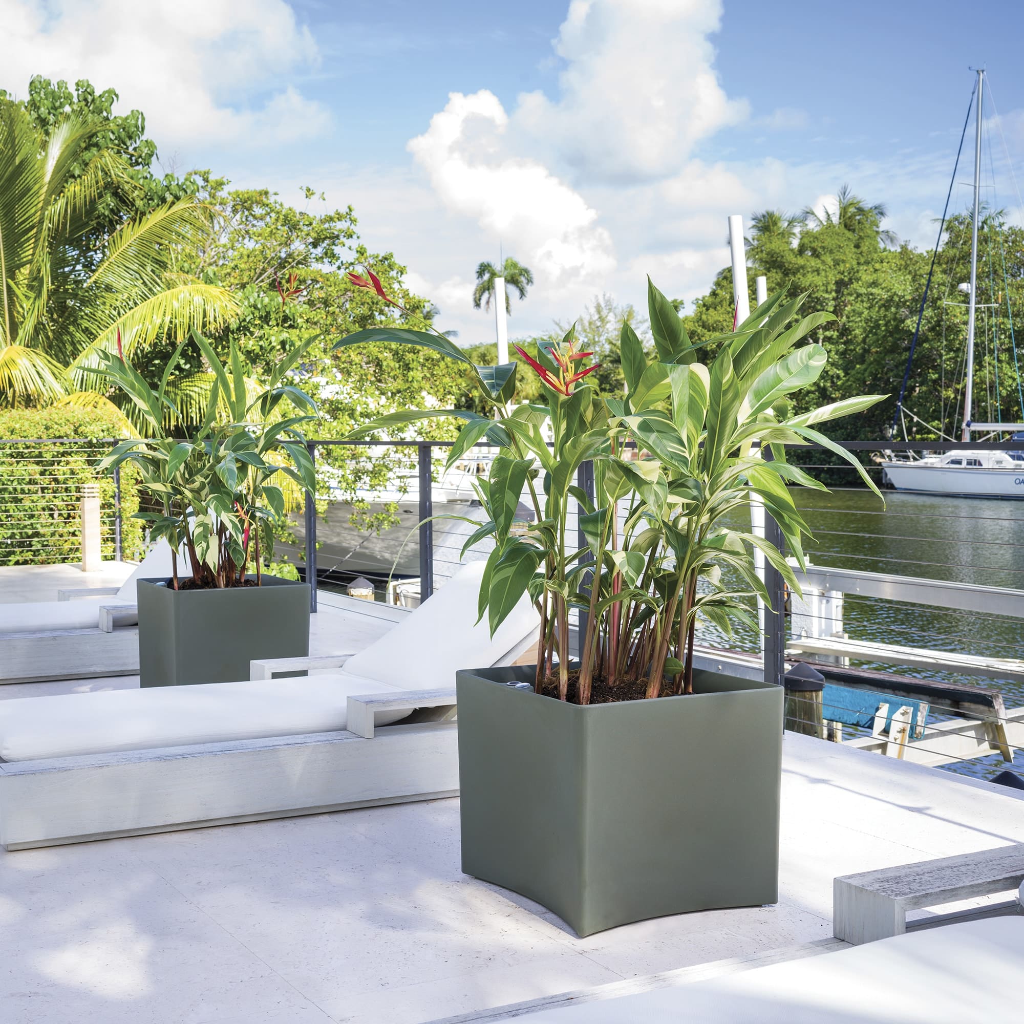 Pinch planters in tropical outdoors.