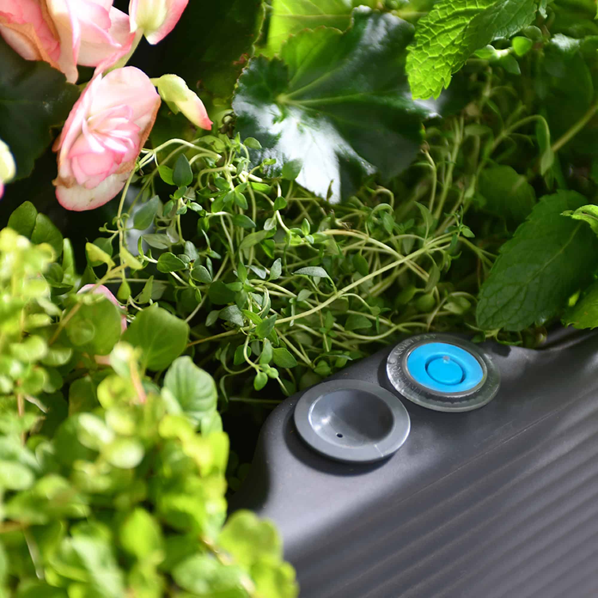 TruDrop New Indicator in slate  Slat planter