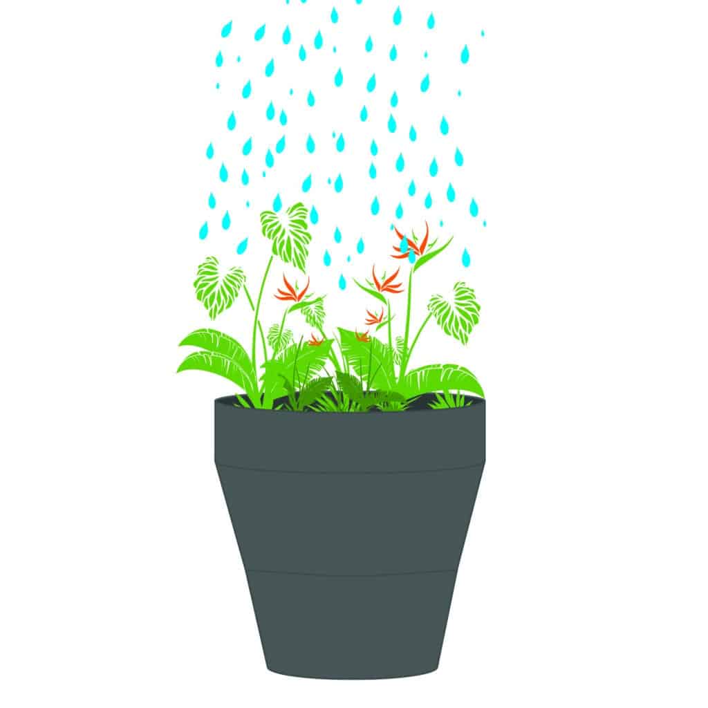 TruDrop planters are equipped to withstand excess rain. 