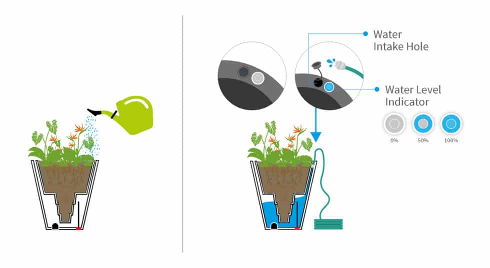 How do self watering pots work?