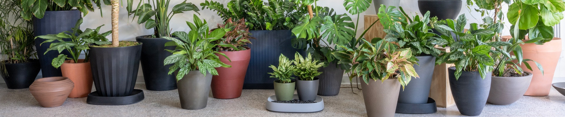 Premium indoor and outdoor planters