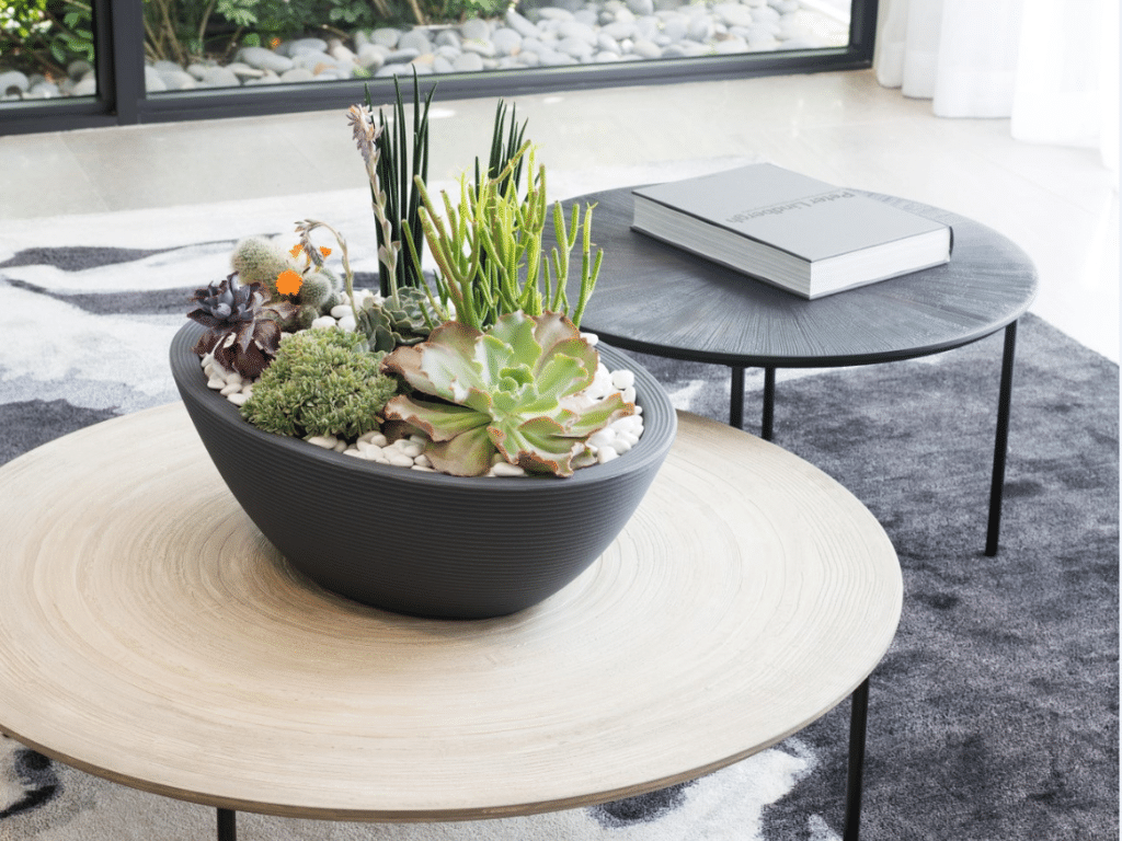 Oval delano bowl on top of coffee table.