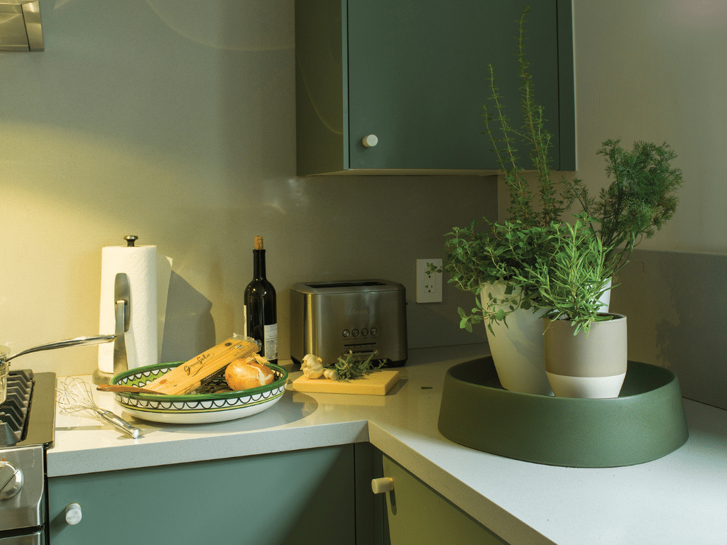 Caddies on the kitchen counter for your herbs.