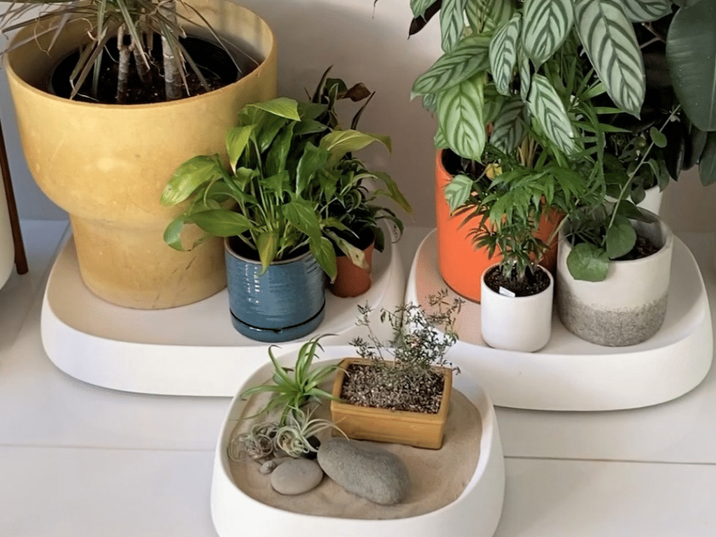 A plant caddy can be used to create a zen garden.