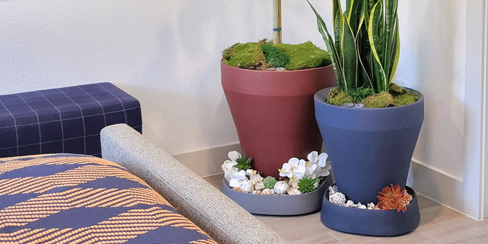 Pebble Plant Dolly – Rolling with your needs