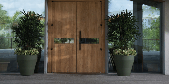 Olive rim planters in an entryway.