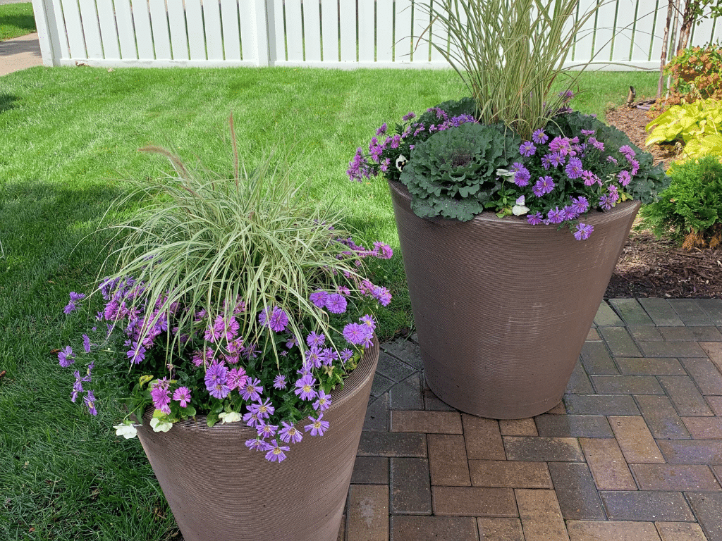 Spring flowers in Madison containers,