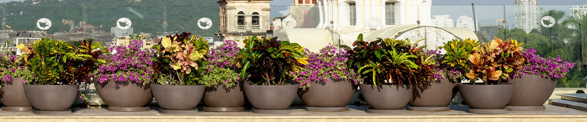 Beautiful Delano bowl planters with flowers