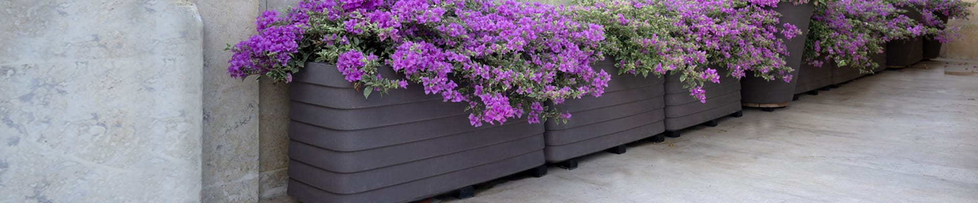 Slat Self Watering Deck Boxes with Purple Flowers