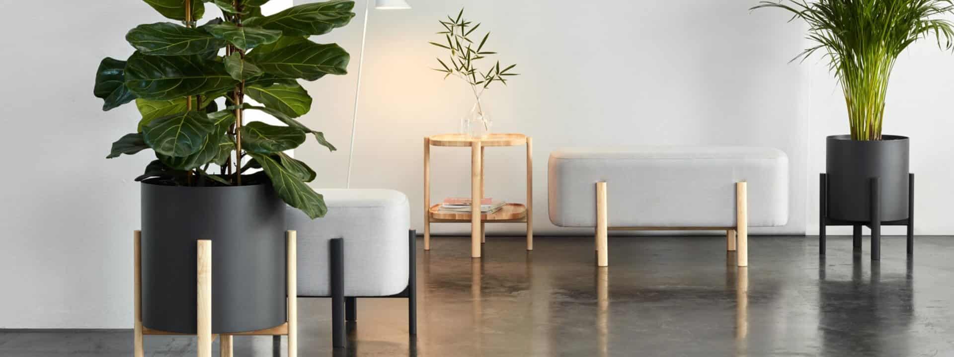 Indoor Furniture with Fuse Furniture