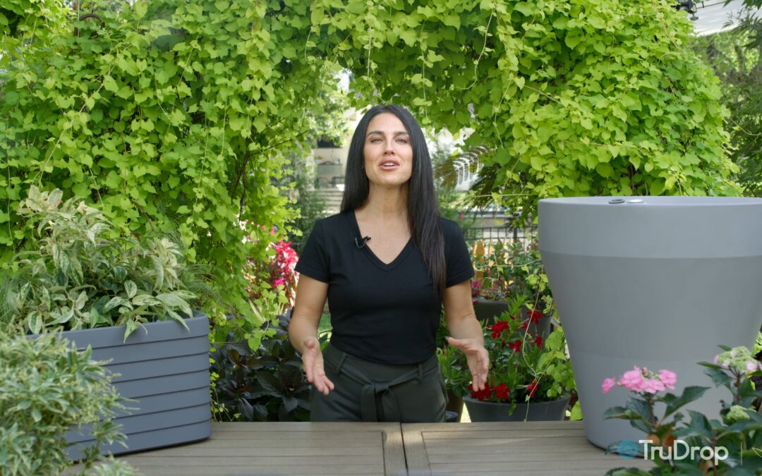 TruDrop Self-Watering Planters:  Getting Started