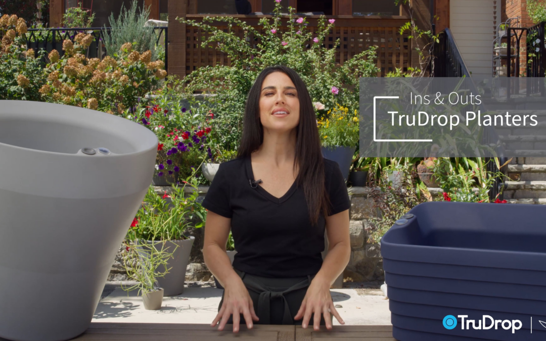 TruDrop Self-Watering Planters:  Introduction to Your Planter