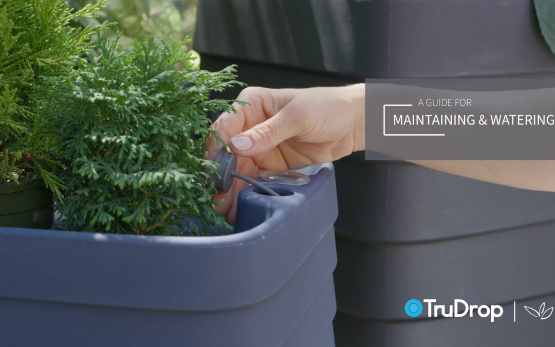 TruDrop Self-Watering Planters:  Maintenance & Watering