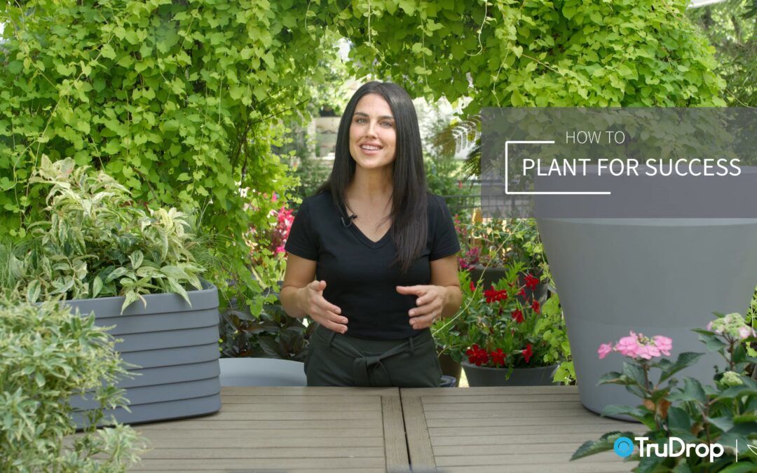 TruDrop Self-Watering Planters:  Plant for Success