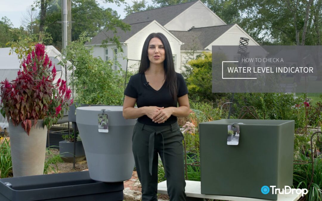 TruDrop Self-Watering Planters:  Checking Water Level Indicator