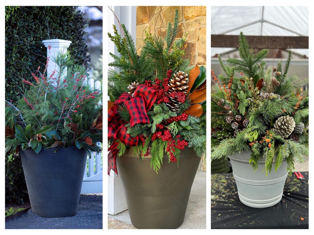 Crescent Garden Brunello, Madison, Rim planters with holiday plantings.