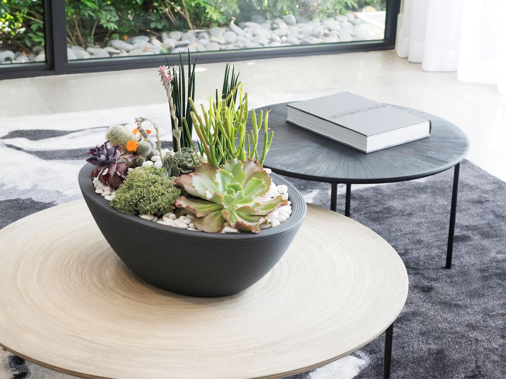 Crescent Garden Delano Oval Bowl with succulent garden.