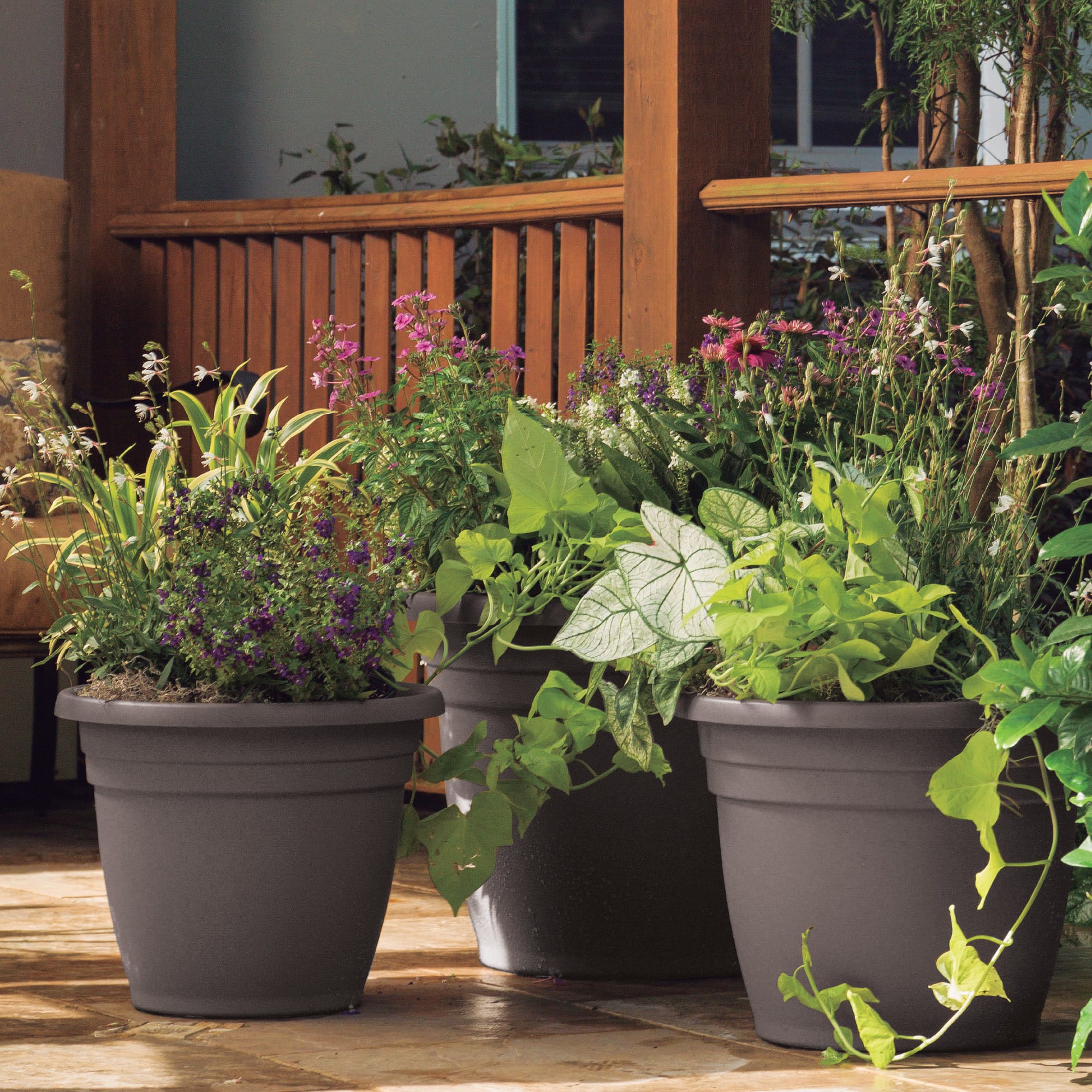 Emma planter's cappuccino color lifestyle